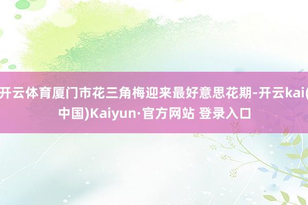 开云体育厦门市花三角梅迎来最好意思花期-开云kai(中国)Kaiyun·官方网站 登录入口