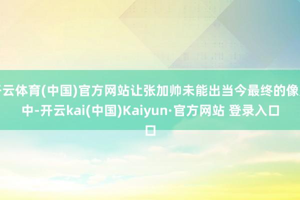 开云体育(中国)官方网站让张加帅未能出当今最终的像片中-开云kai(中国)Kaiyun·官方网站 登录入口