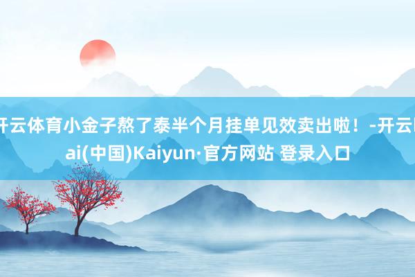 开云体育小金子熬了泰半个月挂单见效卖出啦！-开云kai(中国)Kaiyun·官方网站 登录入口