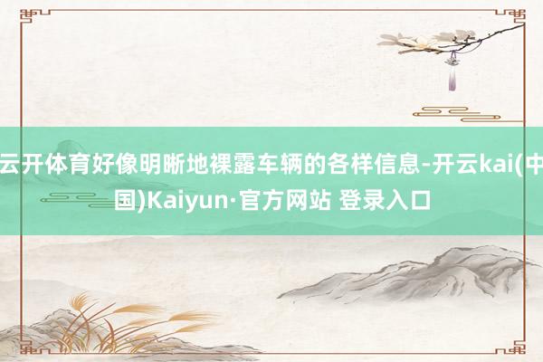 云开体育好像明晰地裸露车辆的各样信息-开云kai(中国)Kaiyun·官方网站 登录入口